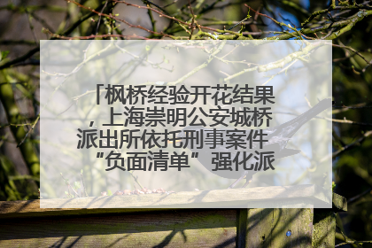 枫桥经验开花结果，上海崇明公安城桥派出所依托刑事案件“负面清单”强化派出所“主防”